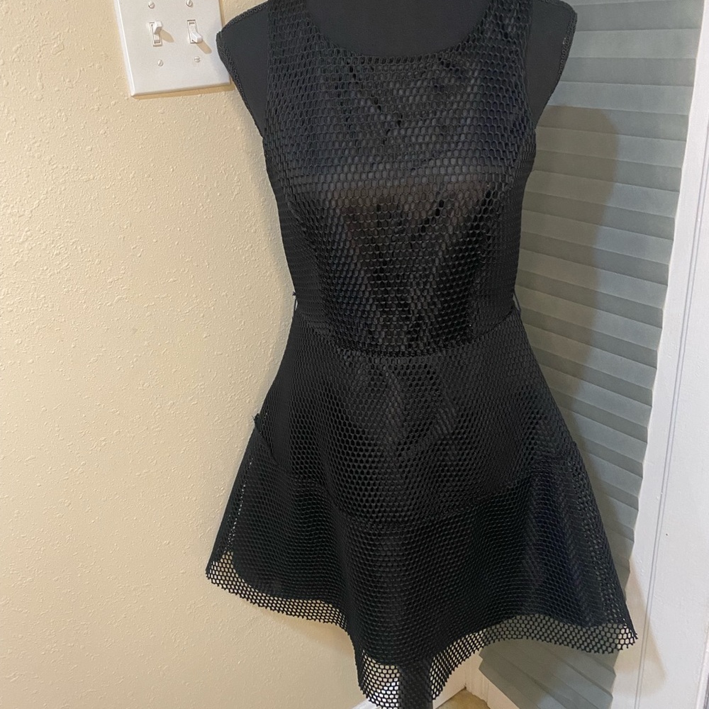 Finn & Clover Black Netted Overlay Skater Dress - Picture 3 of 7